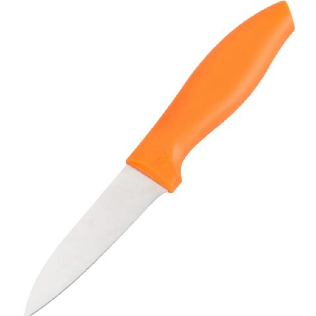 High Quality Kitchen Ceramic Fruit Knife