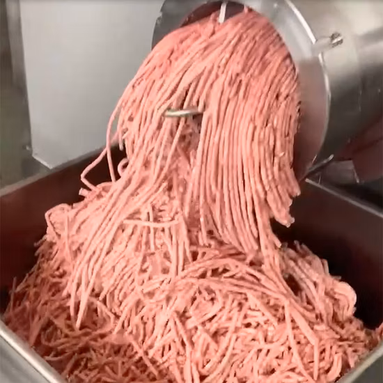 Lama per tritacarne in acciaio inox